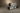 Preamplifiers